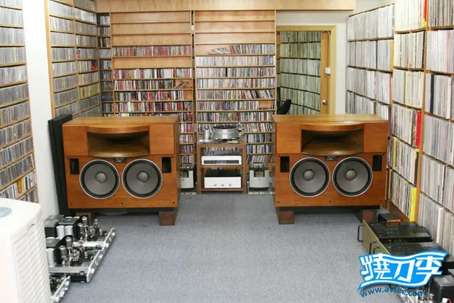 十八子视听会所 ----- TAD 2401监听系统