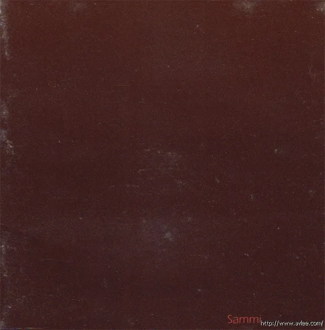 华语唱片30周年经典唱片集推荐005 郑秀文-很爱很爱