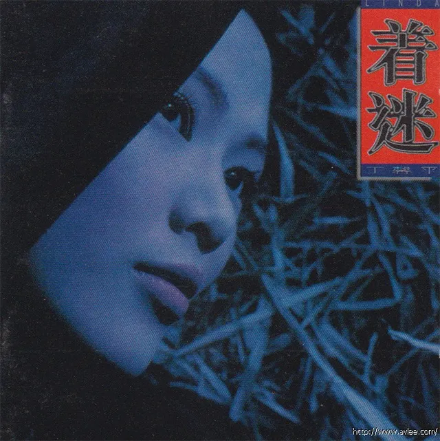 华语唱片30周年经典唱片集推荐096 王馨平-着迷