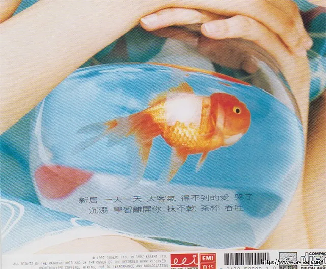 华语唱片30周年经典唱片集推荐0110 梁咏琪-新居