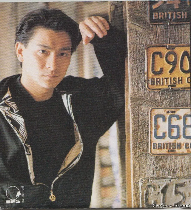 华语唱片30周年经典唱片集推荐0217 刘德华 爱的空间