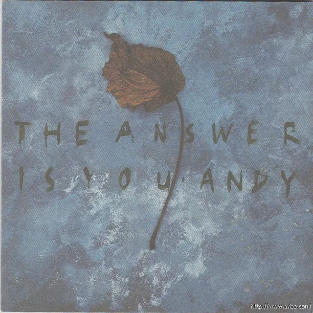 华语唱片30周年经典唱片集推荐0226 刘德华 答案就是你