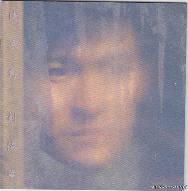 华语唱片30周年经典唱片集推荐0269 刘德华 情未鸟