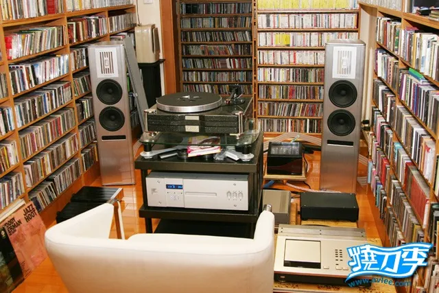 十八子视听会所 -----Piega(贝歌) TC-70X监听系统