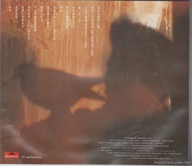 华语唱片30周年经典唱片集推荐0337 等你等到我心痛张学友精选