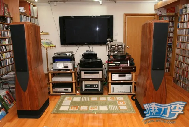 十八子视听会所 ----- Chario(卓丽) Academy Serendipity监听系统