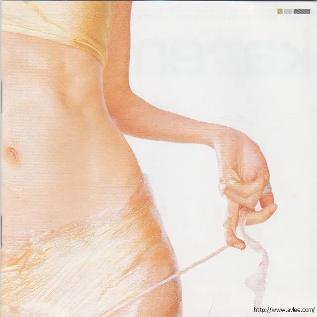 华语唱片30周年经典唱片集推荐0353 莫文蔚 一朵金花