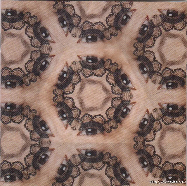 华语唱片30周年经典唱片集推荐0385 张燊悦 一不小心