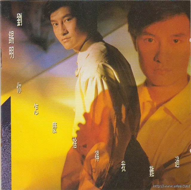 华语唱片30周年经典唱片集推荐0365 刘锡明 - 你怎么舍得我难过