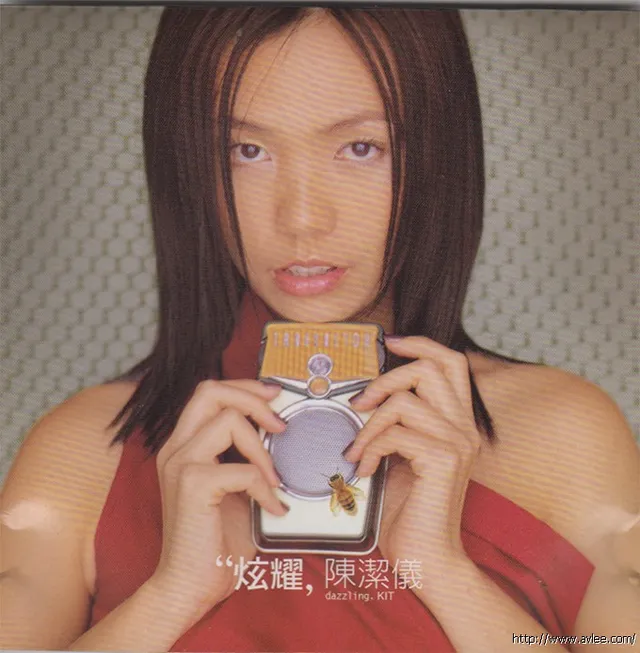 华语唱片30周年经典唱片集推荐0479 陈洁仪 炫耀