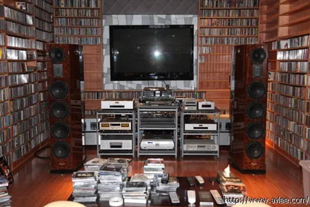 馆主李积回总经理碧桂园家HIFI 威卓试听房