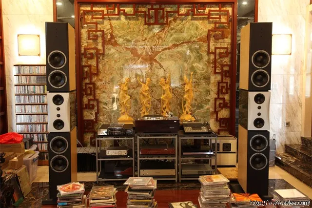 馆主李积回总经理碧桂园家HIFI 丹拿试听房