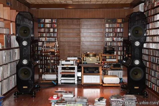 馆主李积回总经理碧桂园家HIFI kharma试听房