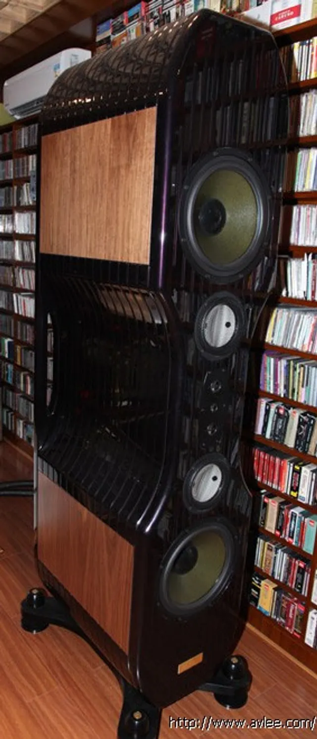 馆主李积回总经理碧桂园家HIFI kharma试听房