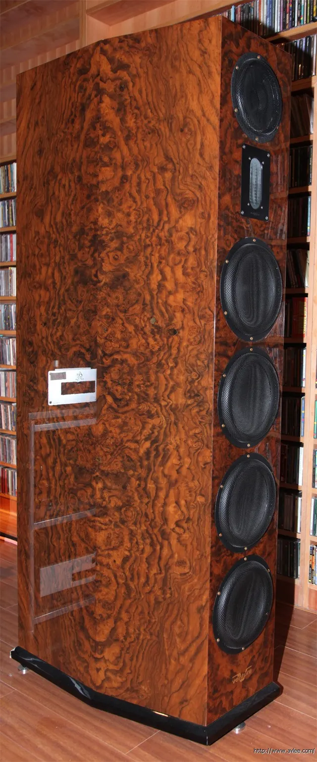 馆主李积回总经理碧桂园家HIFI 威卓试听房