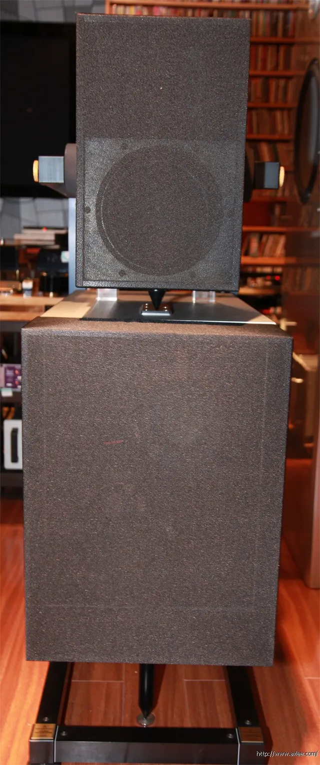 馆主李积回总经理碧桂园家Goldmund听音室