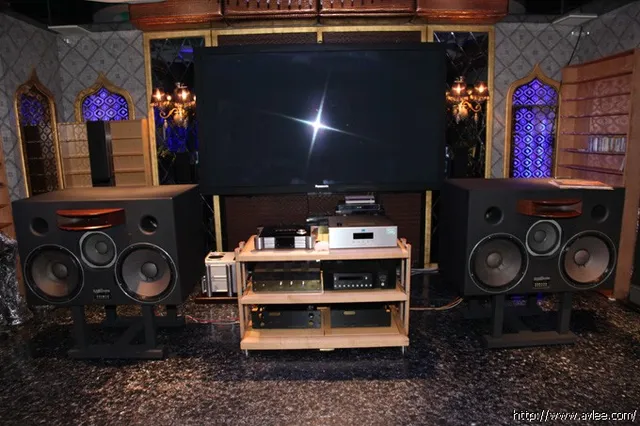 馆主李积回总经理碧桂园家HIFI 西湖房