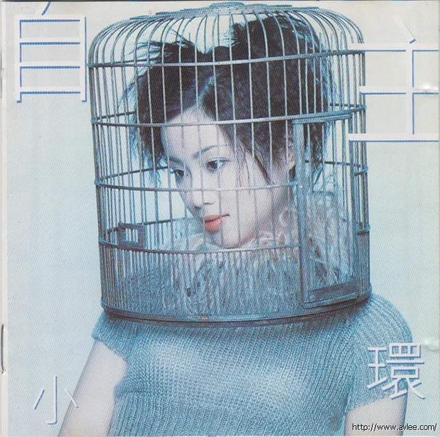 华语唱片30周年经典唱片集推荐0608 自主 小環