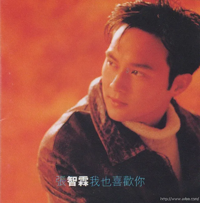 华语唱片30周年经典唱片集推荐0750 张智霖 我也喜欢你