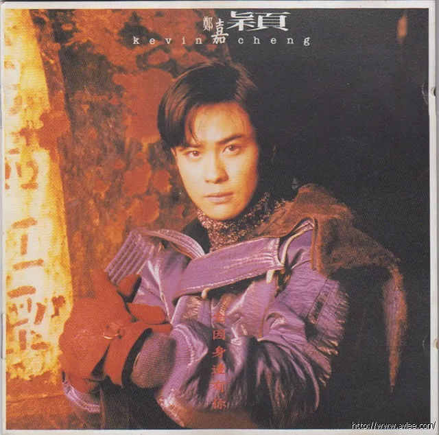 华语唱片30周年经典唱片集推荐0808 郑嘉颖 全因身边有你