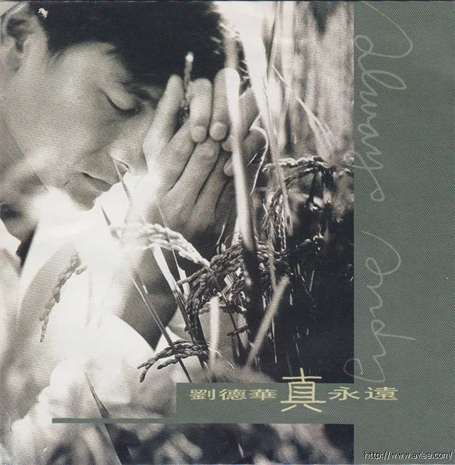 华语唱片30周年经典唱片集推荐0944 刘德华 真永远