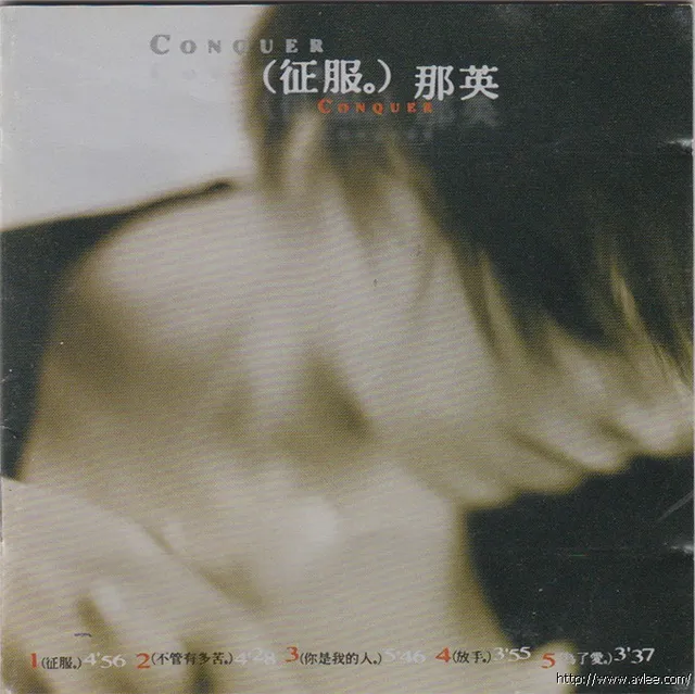 华语唱片30周年经典唱片集推荐0972 那英 征服