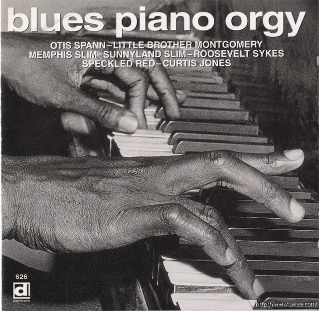 JAZZ CD推荐0437 blues piano orgy