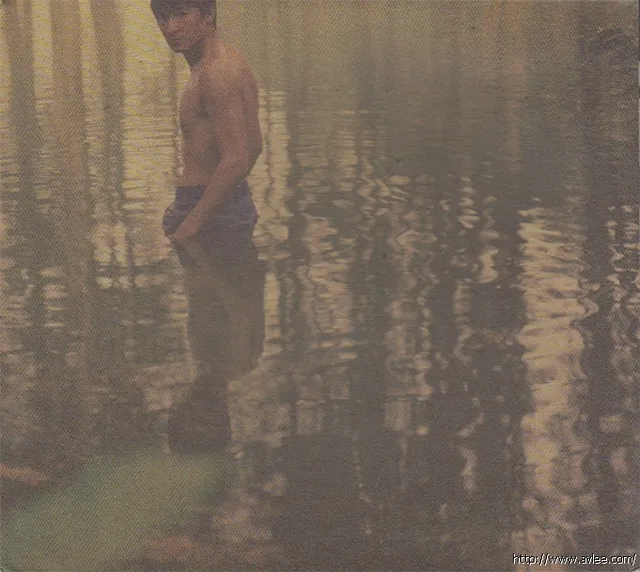 华语唱片30周年经典唱片集推荐01054 刘德华 真生命