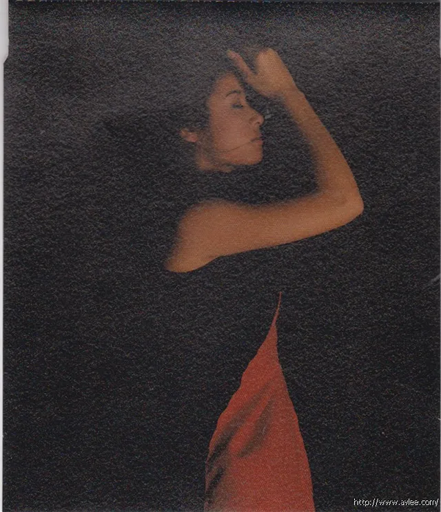 华语唱片30周年经典唱片集推荐01121 林心如 心跳