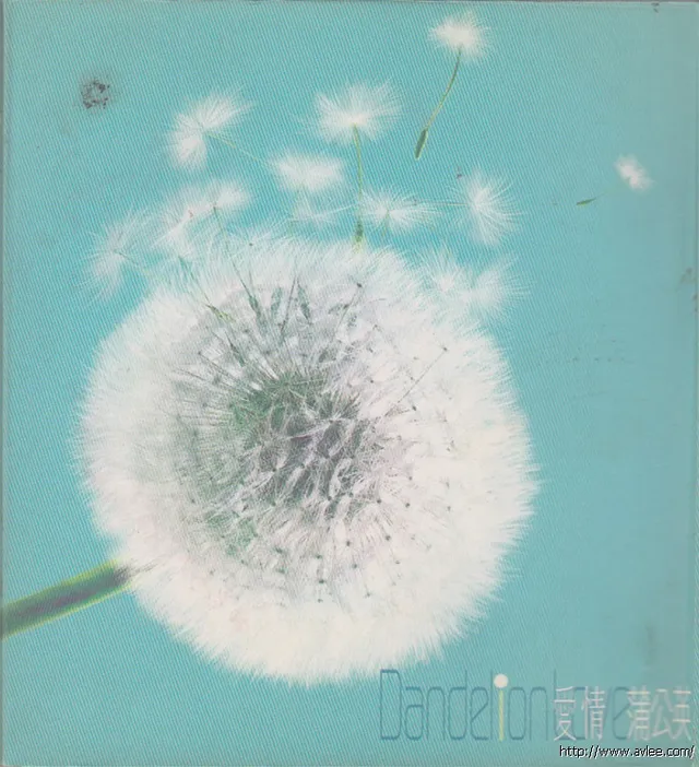 华语唱片30周年经典唱片集推荐01140 爱情蒲公英