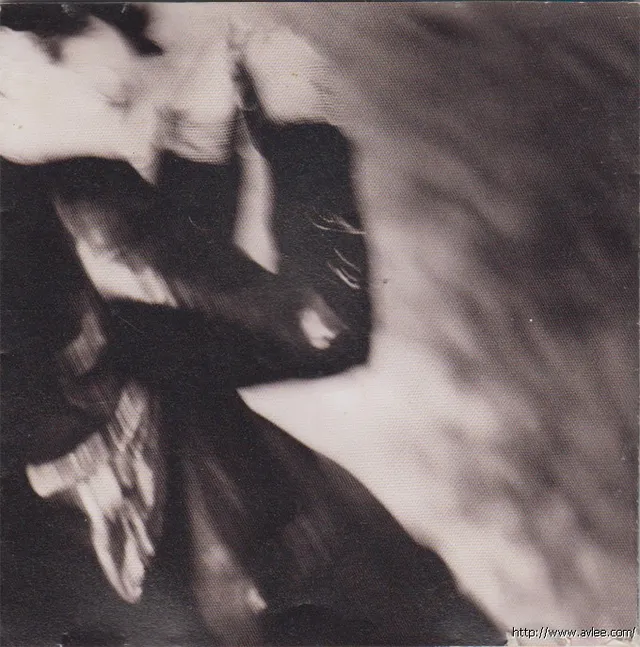 华语唱片30周年经典唱片集推荐01228 张国荣 红