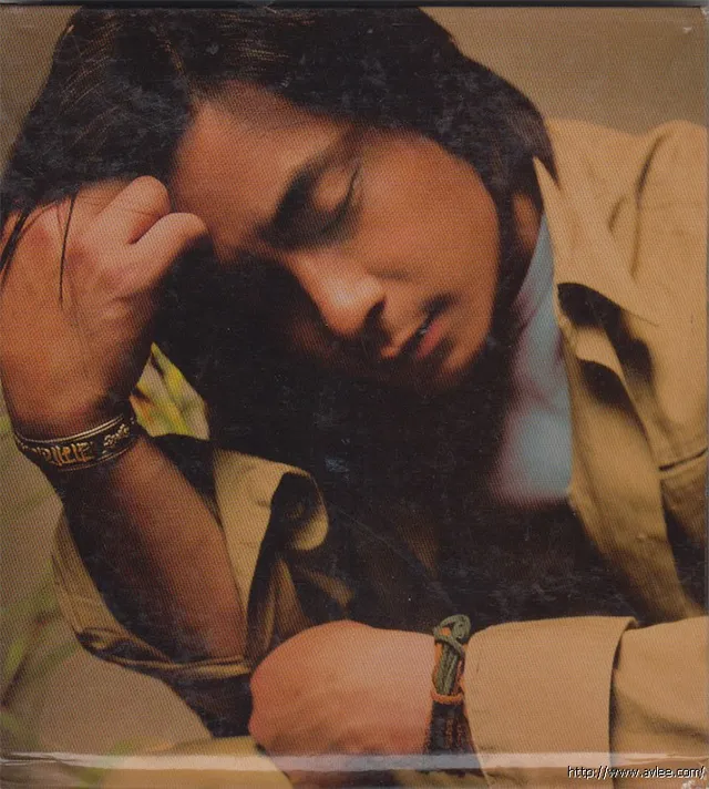 华语唱片30周年经典唱片集推荐01242 王杰 从今开始