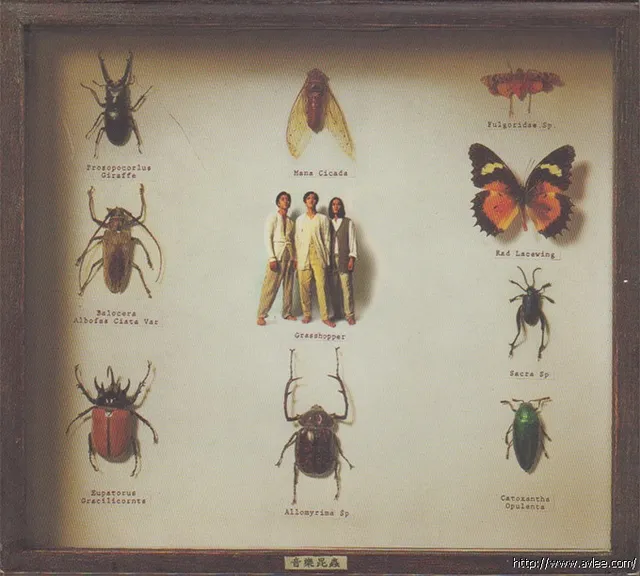 华语唱片30周年经典唱片集推荐01247 草蜢 音乐昆虫 唱片名称：草蜢 音乐昆虫