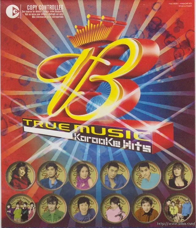 华语唱片30周年经典唱片集推荐01308 True Music Karaoke Hits