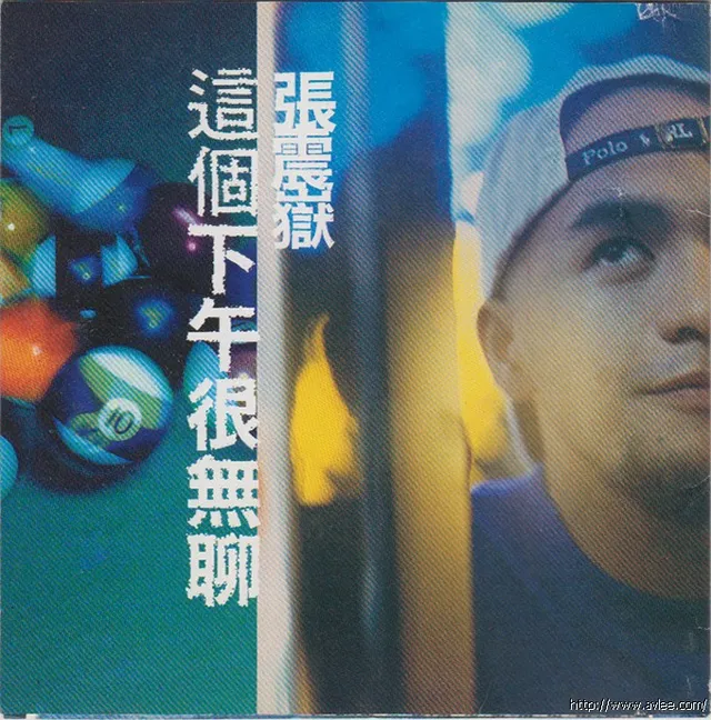 华语唱片30周年经典唱片集推荐01330 张震狱 这个下午很无聊