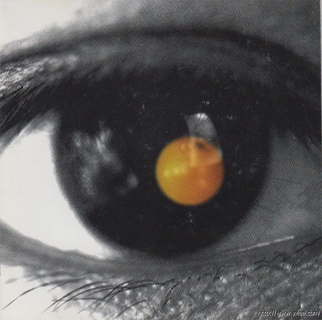 华语唱片30周年经典唱片集推荐01347 陶喆 黑色柳丁