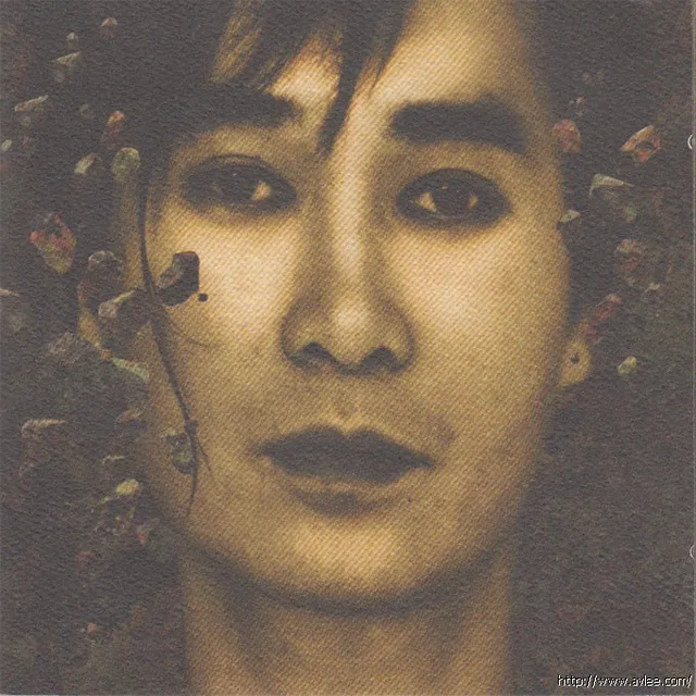 华语唱片30周年经典唱片集推荐01350 刘以达 麻木