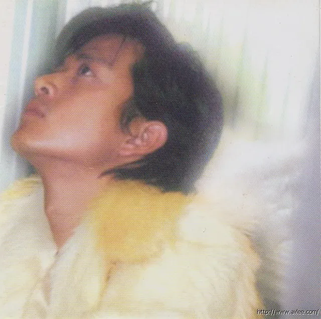 华语唱片30周年经典唱片集推荐01360 陈晓东 I Want To Be