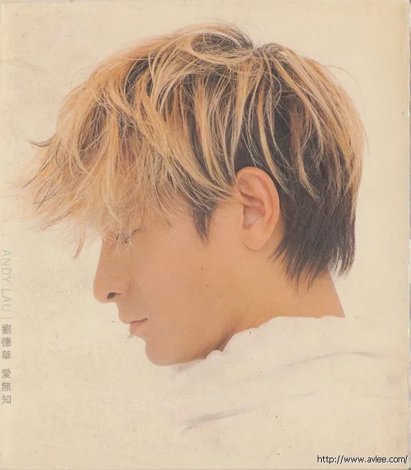 华语唱片30周年经典唱片集推荐01435 刘德华 爱无知