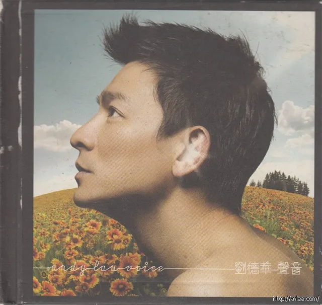 华语唱片30周年经典唱片集推荐01448 刘德华 声音