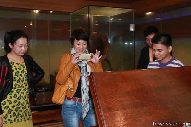 广东省信息化项目监理公司人员莅临世界发烧音响博物馆参观交流