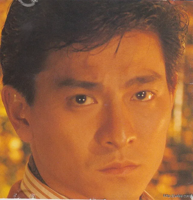 华语唱片30周年经典唱片集推荐01490 刘德华