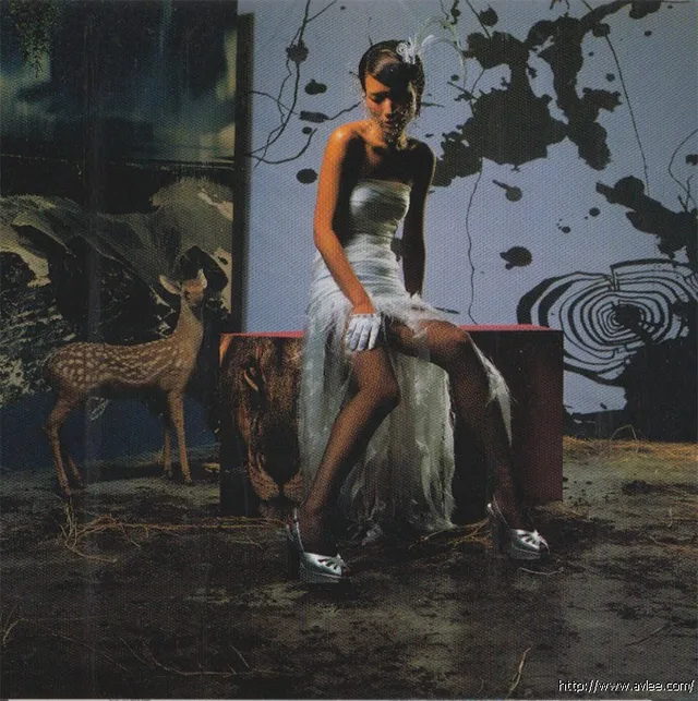 华语唱片30周年经典唱片集推荐01496卢巧音 《Muse》