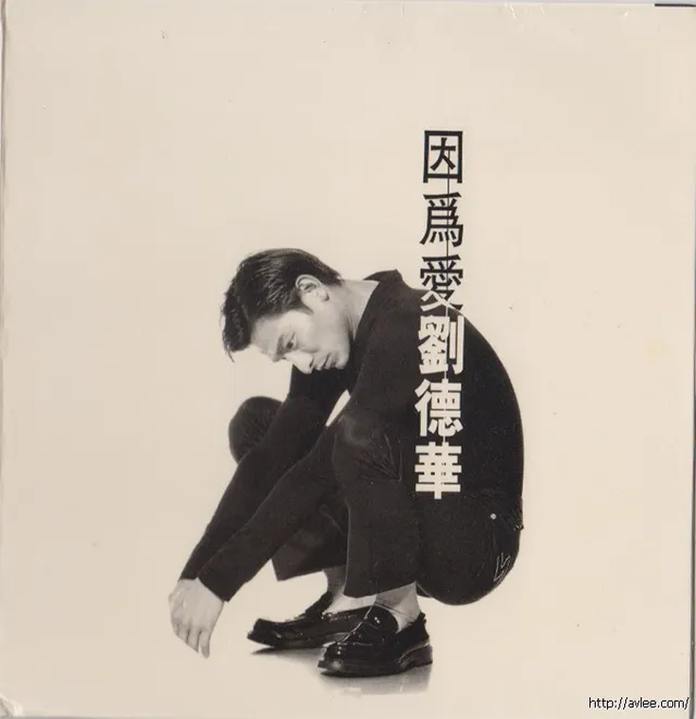 华语唱片30周年经典唱片集推荐01503 刘德华 因为爱