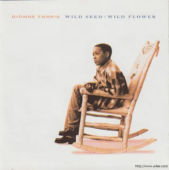钟情老唱片推荐0223 Wild Seed Wild Flower