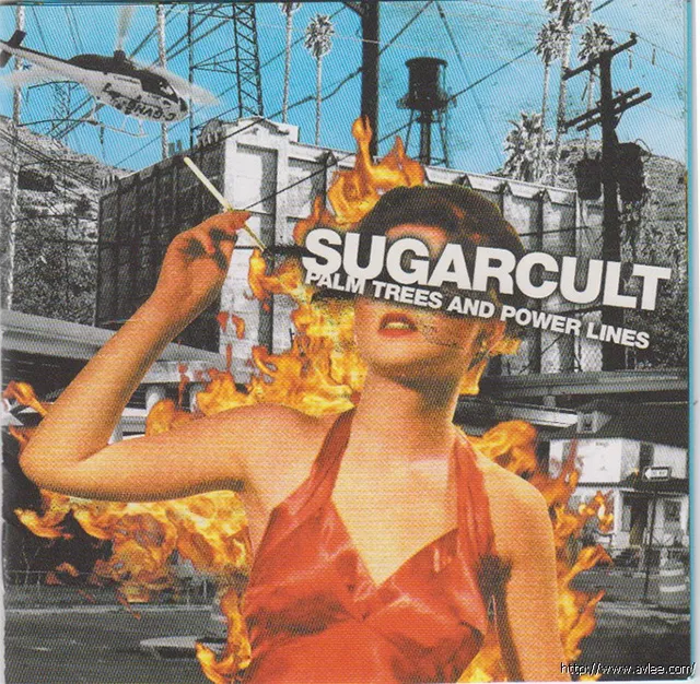 钟情老唱片推荐0226 Palm Trees & Power Lines