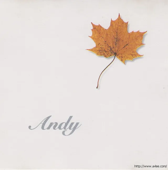 钟情老唱片推荐0765 刘德华 天意