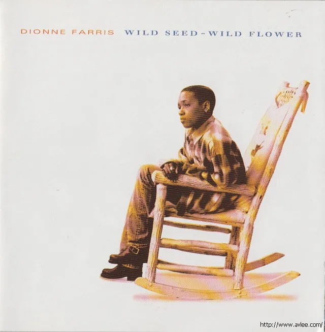 钟情老唱片推荐0935 Wild Seed - Wild