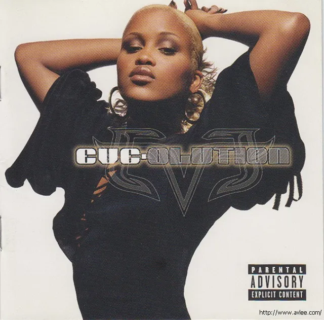 钟情老唱片推荐01043 Eve-Olution