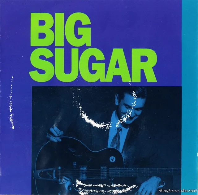 JAZZCD推荐0995 Big Sugar
